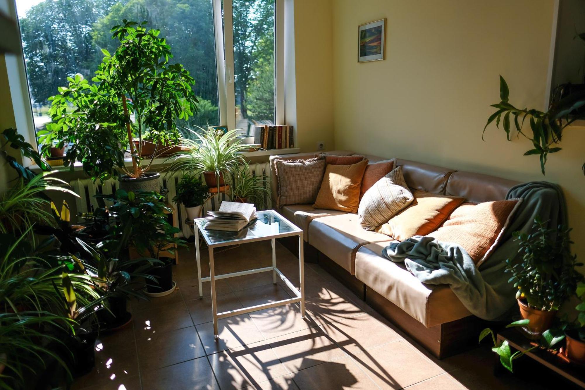 Hostel Nele Johvi Luaran gambar